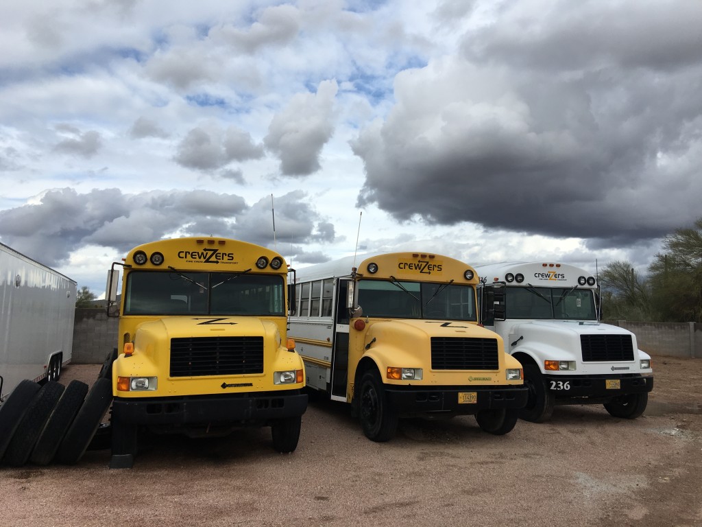 school bus for sale